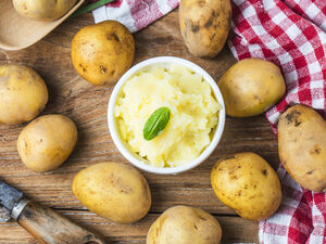 Картофель для посадки: сорта, виды, сроки созревания семенного картофеля. 