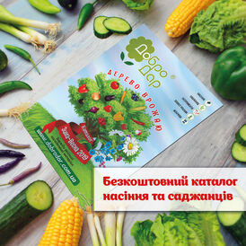 Наши публикации