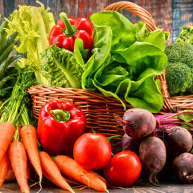 Биодеструкторы