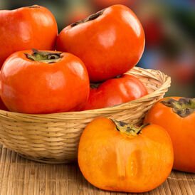 Саджанці Хурми