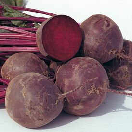Весовые семена Свеклы столовой