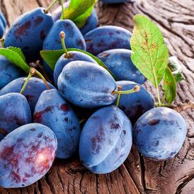 Саджанці Сливи