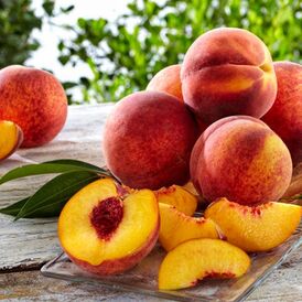 Саджанці Персиків