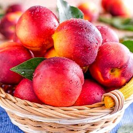 Саджанці Нектаринів