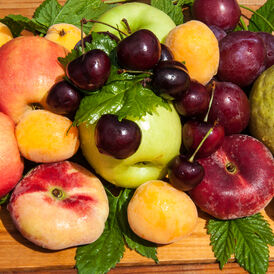 Плодові дерева