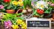 Луковицы цветов купить в интернет магазине Добродар