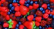 Саженцы ягодных культур купить в интернет магазине Добродар