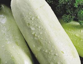 Кабачок Грибовский купить