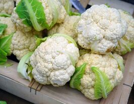 Капуста цветная Дельта купить
