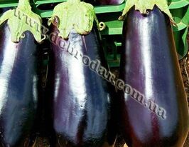 Алмазкупити