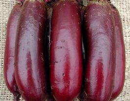 Свекла столовая Цилиндра купить