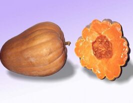 Тыква Диво купить