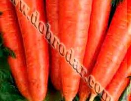 Королева осенікупити