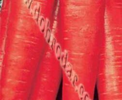 Червоний Велетень 10 гкупити