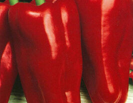 Перець солодкий Атланткупити