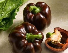 Перец сладкий Ингрид купить