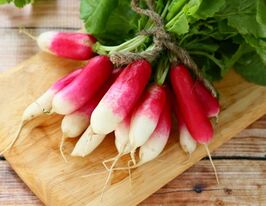Редис 18 днівкупити