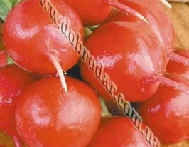 Жара 10 гкупити