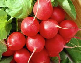 Редис Варта купить