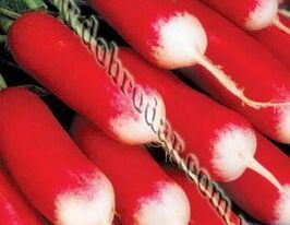 Французский завтрак  3 г купить