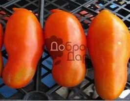 Банан червонийкупити