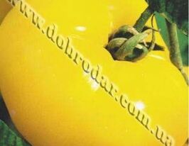 Гігант Лимоннийкупити