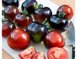 Томат Блеве Р20купити