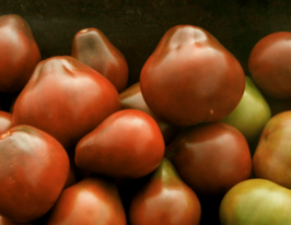 Груша черная купить
