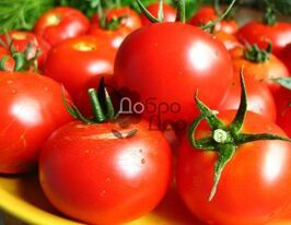 Корольоккупити