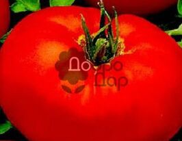 Космонавт Волковкупити