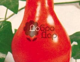 Смилянський Рудасакупити