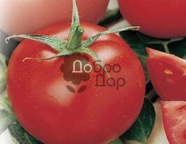 Господар купить