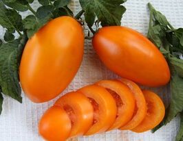 Золотой поток купить