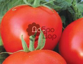 Астероїдкупити