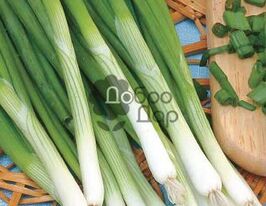 Батун (багаторічна) П'єрокупити