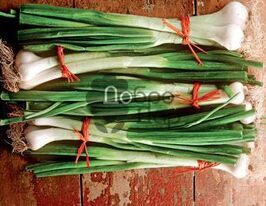 Батун (багаторічна) Стасякупити