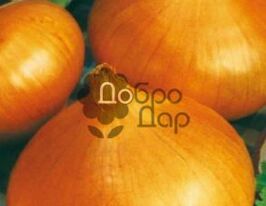 Луганська 1,5 гкупити