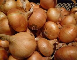 Триумф F1 купить