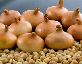 Цибуля ріпчаста Штутгартер Різенкупити