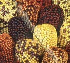 Декоративнакупити