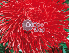 Крален красная купить