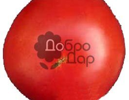 Мармеладнийкупити