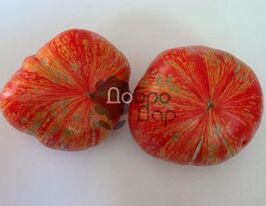 Срібляста ялинкакупити