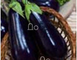 Адонис F1 купить