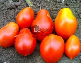 Бразильська сливкакупити