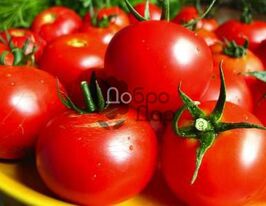 Брунеллокупити