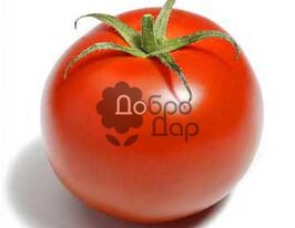 Фиеро купить