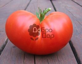 Червоний Гіганткупити