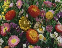 Суміш сухоцвітівкупити