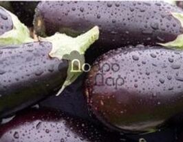 Ротонда купить